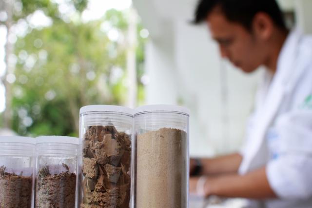 Elegibilidade de seguro agrícola: FF Seguros alerta sobre mudança